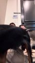 000_001_0087.jpeg