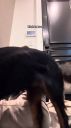 000_001_0088.jpeg