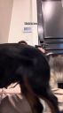 000_001_0089.jpeg
