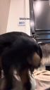 000_001_0090.jpeg