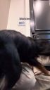 000_001_0095.jpeg