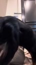 000_001_0096.jpeg