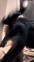 000_001_0097.jpeg