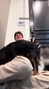 000_001_0132.jpeg