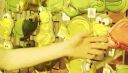 000_001_0261.jpeg