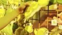 000_001_0262.jpeg