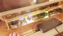 000_001_0267.jpeg