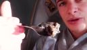 000_001_0392.jpeg