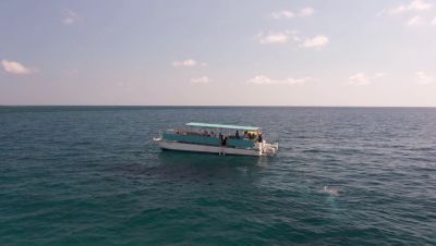 000_001_0288.jpeg