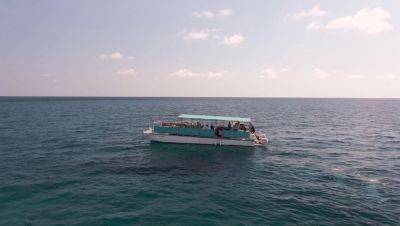 Click to view full size image
==============
000_001_0289.jpeg 000_001_0289.jpeg