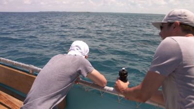 Click to view full size image
==============
000_001_0294.jpeg 000_001_0294.jpeg