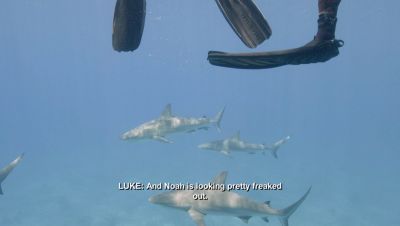 000_001_0452.jpeg