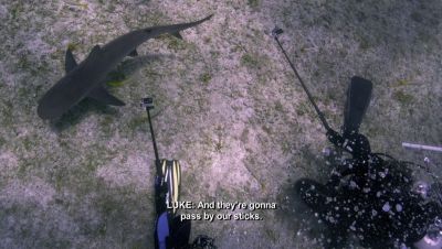 000_001_0463.jpeg