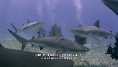 Click to view full size image
==============
000_001_0467.jpeg 000_001_0467.jpeg