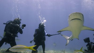 Click to view full size image
==============
000_001_0472.jpeg 000_001_0472.jpeg