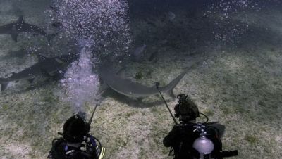 Click to view full size image
==============
000_001_0504.jpeg 000_001_0504.jpeg