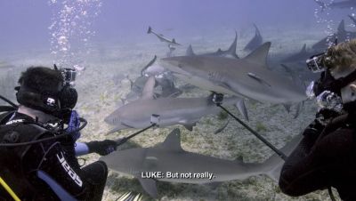 Click to view full size image
==============
000_001_0508.jpeg 000_001_0508.jpeg