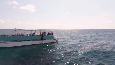 Click to view full size image
==============
000_001_0590.jpeg 000_001_0590.jpeg