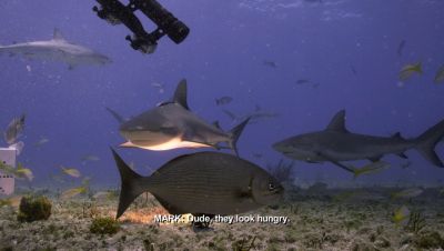 Click to view full size image
==============
000_001_0624.jpeg 000_001_0624.jpeg