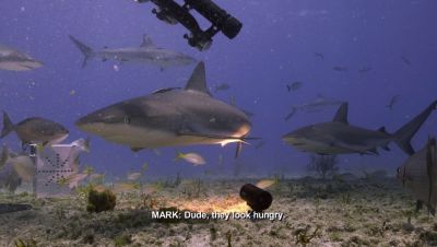 Click to view full size image
==============
000_001_0625.jpeg 000_001_0625.jpeg