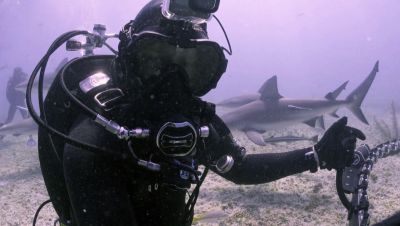 Click to view full size image
==============
000_001_0631.jpeg 000_001_0631.jpeg
