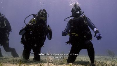 Click to view full size image
==============
000_001_0635.jpeg 000_001_0635.jpeg