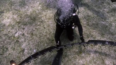 000_001_0650.jpeg