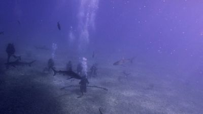 Click to view full size image
==============
000_001_0759.jpeg 000_001_0759.jpeg