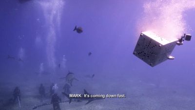 Click to view full size image
==============
000_001_0789.jpeg 000_001_0789.jpeg