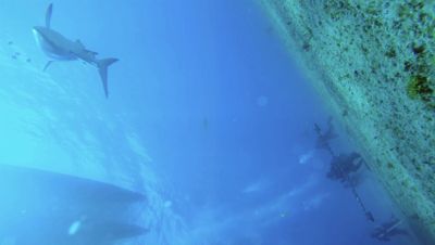Click to view full size image
==============
000_001_0794.jpeg 000_001_0794.jpeg