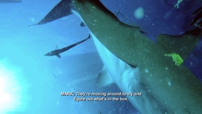 000_001_0802.jpeg