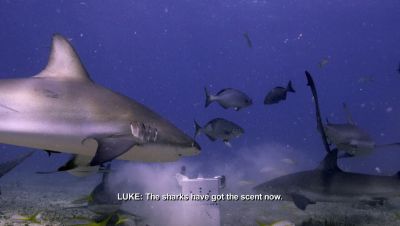 000_001_0809.jpeg