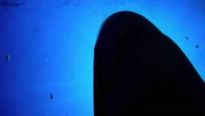 000_001_0820.jpeg