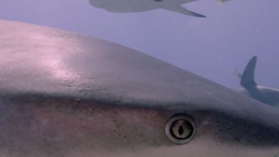 Click to view full size image
==============
000_001_0858.jpeg 000_001_0858.jpeg