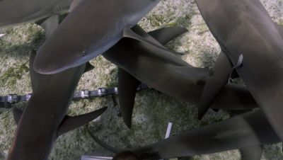 000_001_0860.jpeg