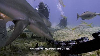 Click to view full size image
==============
000_001_0867.jpeg 000_001_0867.jpeg