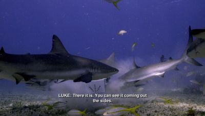 Click to view full size image
==============
000_001_0888.jpeg 000_001_0888.jpeg