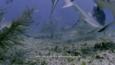 000_001_0929.jpeg
