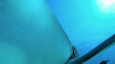 000_001_0933.jpeg