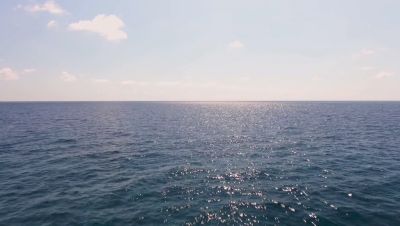 Click to view full size image
==============
000_001_0955.jpeg 000_001_0955.jpeg