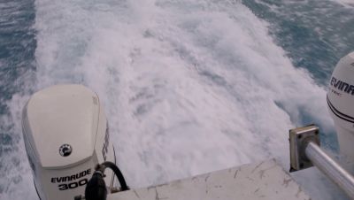 Click to view full size image
==============
000_001_1056.jpeg 000_001_1056.jpeg