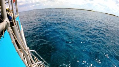 Click to view full size image
==============
000_001_1062.jpeg 000_001_1062.jpeg