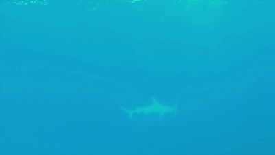 Click to view full size image
==============
000_001_1070.jpeg 000_001_1070.jpeg