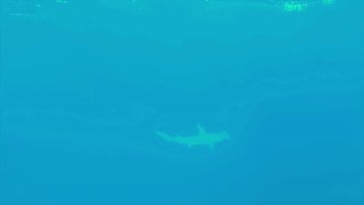 Click to view full size image
==============
000_001_1071.jpeg 000_001_1071.jpeg