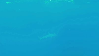 Click to view full size image
==============
000_001_1072.jpeg 000_001_1072.jpeg