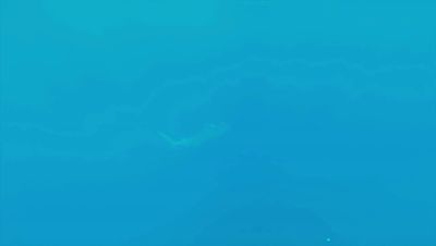Click to view full size image
==============
000_001_1074.jpeg 000_001_1074.jpeg