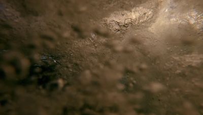 Click to view full size image
==============
000_001_1137.jpeg 000_001_1137.jpeg