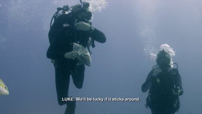 Click to view full size image
==============
000_001_1154.jpeg 000_001_1154.jpeg