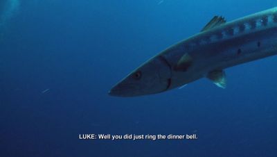 000_001_1194.jpeg