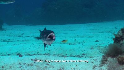 Click to view full size image
==============
000_001_1206.jpeg 000_001_1206.jpeg